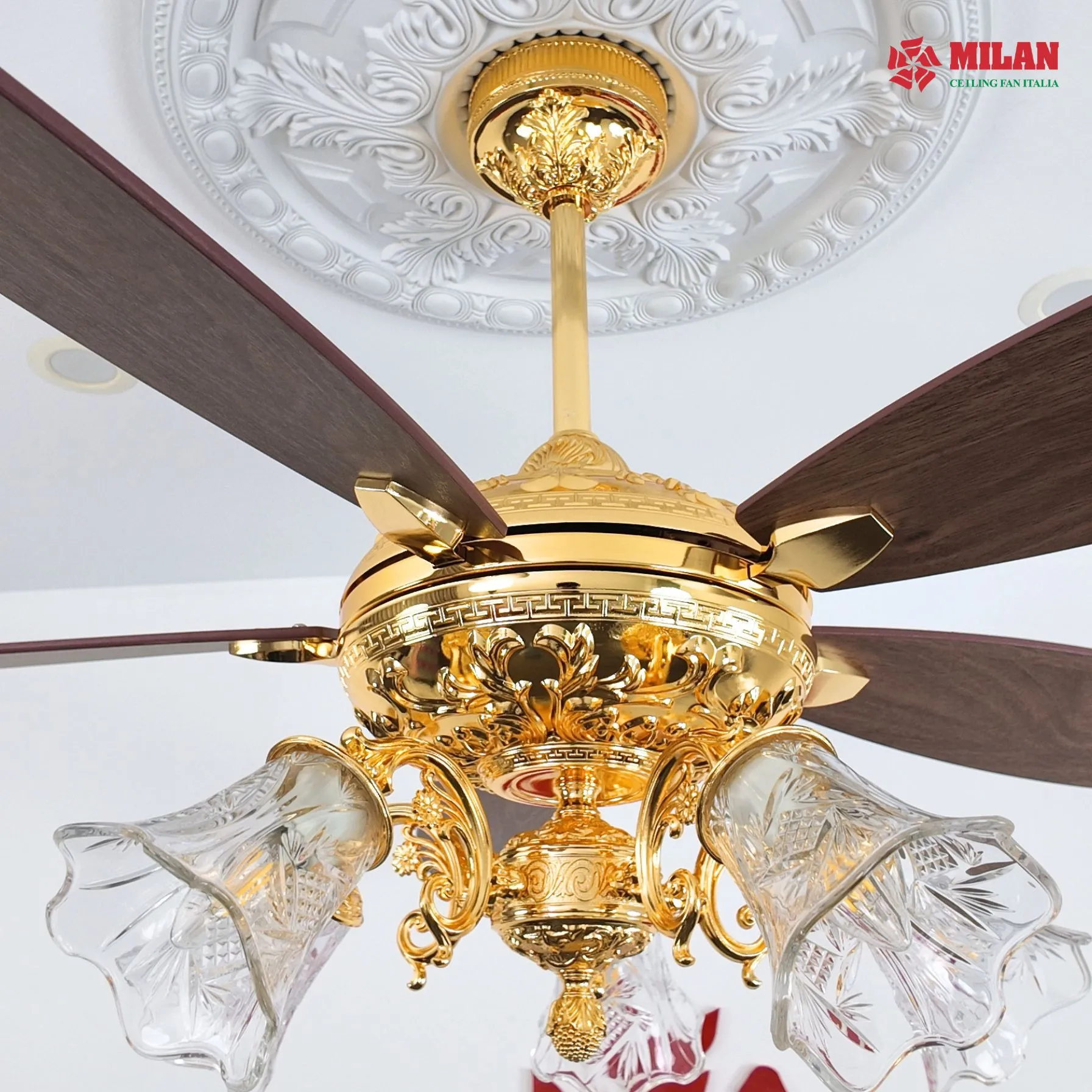 Quạt trần đèn chùm 5 cánh mạ vàng FY966 có thể lắp đặt ở nhiều không gian.